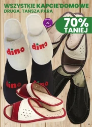 Dobre ceny na co dzień - Dino