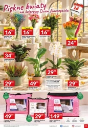 Pełny koszyk w dobrej cenie - Twój Market