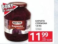 Kapusta czerwona Rolnik