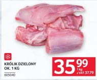 Królik