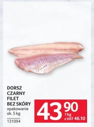 Dorsz