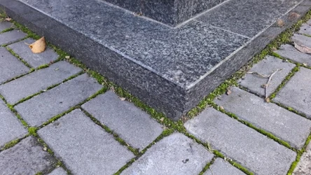 Spryskaj tym kostkę na cmentarzu. Mech i chwasty nie pojawią się do Wszystkich Świętych.
