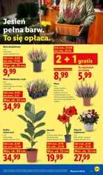 Weekend pełen okazji - Lidl
