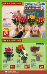 Ceny na weekend w dół - Aldi