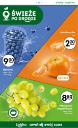 Codzienne produkty - Żabka