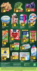 Mięsne promocje na tydzień - Jan Dobczyce