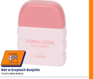 Róż Bonjolie
