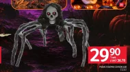 Pająk
