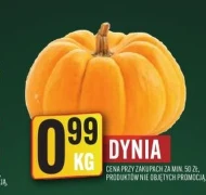 Dynia