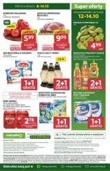 Tydzień pełen smacznych okazji - Stokrotka Market