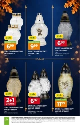 Znicze na 1 listopada - Stokrotka Supermarket