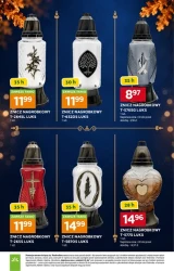 Znicze na 1 listopada - Stokrotka Supermarket