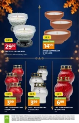 Znicze na 1 listopada - Stokrotka Supermarket