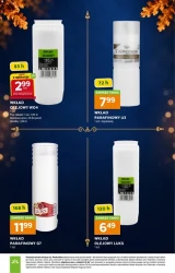 Znicze na 1 listopada - Stokrotka Supermarket