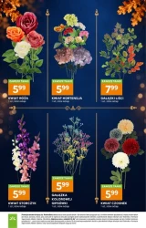 Znicze na 1 listopada - Stokrotka Supermarket