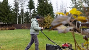 Przed zimą koś trawnik tylko na tę wysokość. Ani jedno źdźbło nie zmarznie