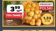 Cebula Polski