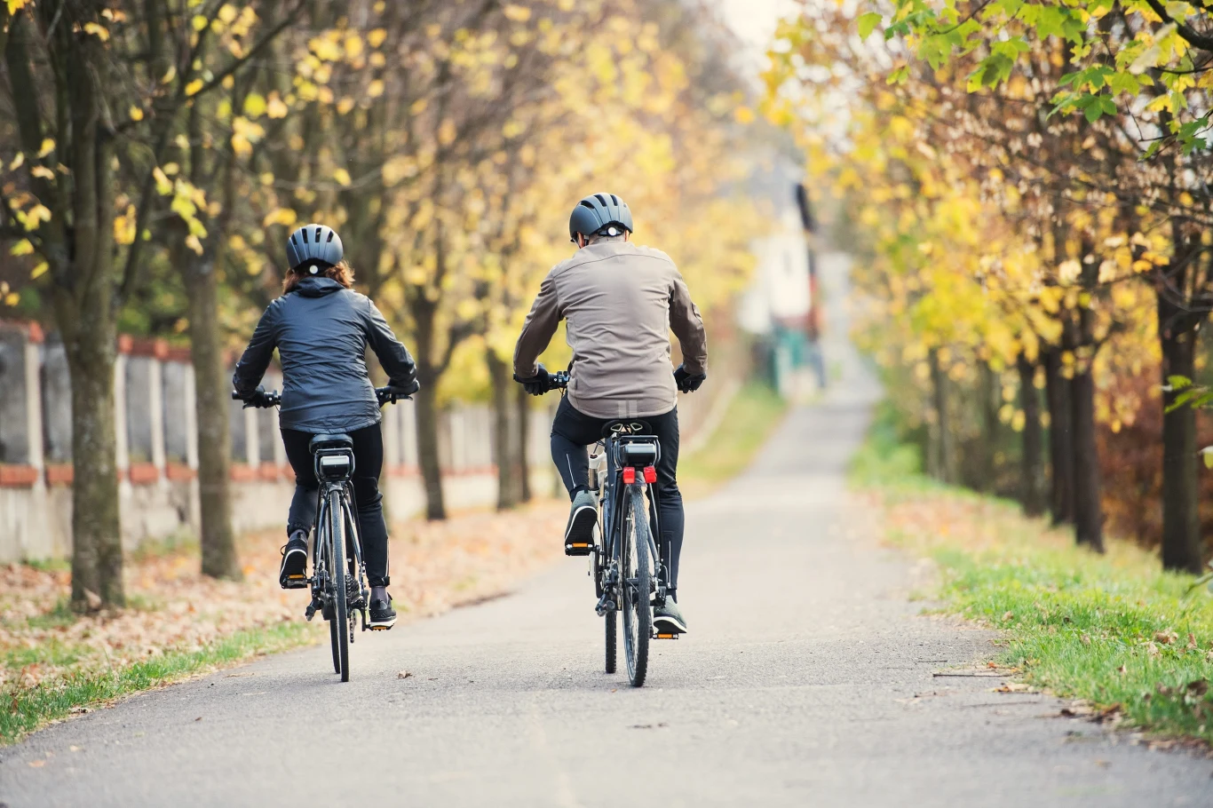 Nowa inwestycja dla rowerzystów w Tarnowie. Zdj. ilustracyjne. Dwie osoby jadące rowerami alejką wśród drzew z opadłymi liśćmi, kontekst inwestycji w Tarnowie.