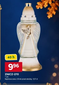 Znicz