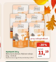 Mokra karma dla kota MjAMjAM