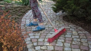 Posypałam kostkę brukową tylko raz. Po mchu i nalocie nie ma ani śladu