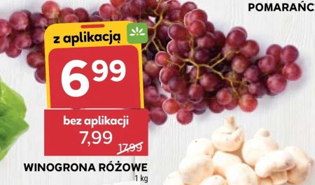 Виноград