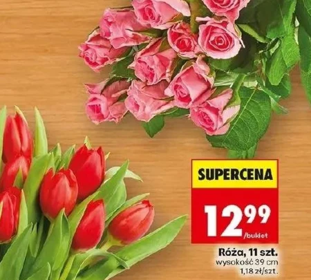 Роза