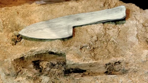 Włócznie i narzędzia z drewna. Nowe odkrycia archeologiczne w Abric Romaní