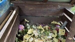Dorzuć do kompostu domowy składnik. Dojrzeje w 2 miesiące