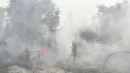 Pożary w Indonezji trawią lasy tego azjatyckiego państwa