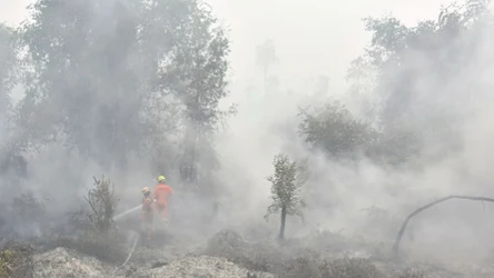Pożary w Indonezji trawią lasy tego azjatyckiego państwa