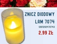 Znicz