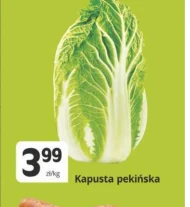 Kapusta pekińska