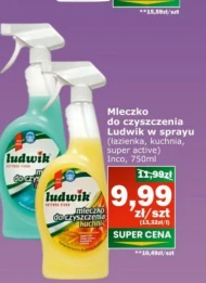 Mleczko do czyszczenia Ludwik
