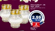 Znicz Maxpol