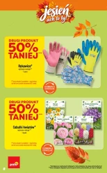 Inspirujący tydzień - POLOmarket