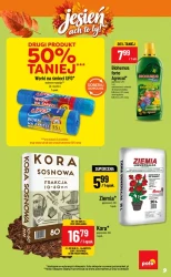 Inspirujący tydzień - POLOmarket