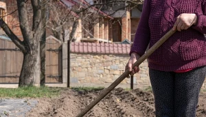 Zamiast przekopywać, układaj warstwy. Chwasty znikną, a gleba odżyje