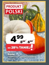 Dynia Polski