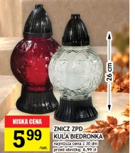 Znicz