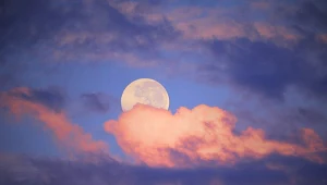 Horoskop na weekend. Gwiazdy mają jasny przekaz dla tych znaków zodiaku