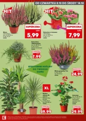 Najlepsze świeże produkty - Kaufland