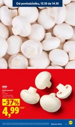 Codziennie świeże dostawy! - Lidl