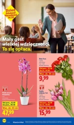 Codziennie świeże dostawy! - Lidl