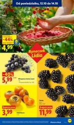 Codziennie świeże dostawy! - Lidl