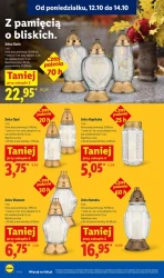 Codziennie świeże dostawy! - Lidl