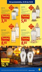 Codziennie świeże dostawy! - Lidl