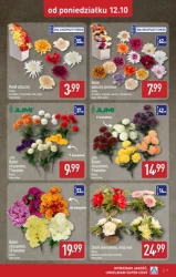 Szeroka oferta zniczy - Aldi
