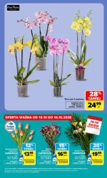 Idealne na Dzień Nauczyciela! - Carrefour