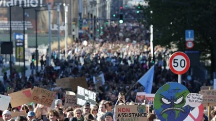 Wielka demonstracja w Brukseli. Chodziło o przyrodę